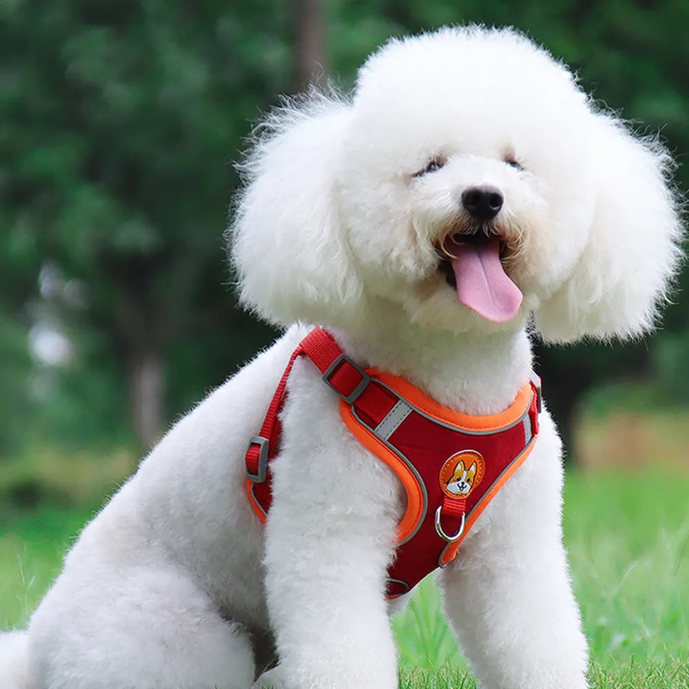 No-Pull Reflective Dog Harness Set