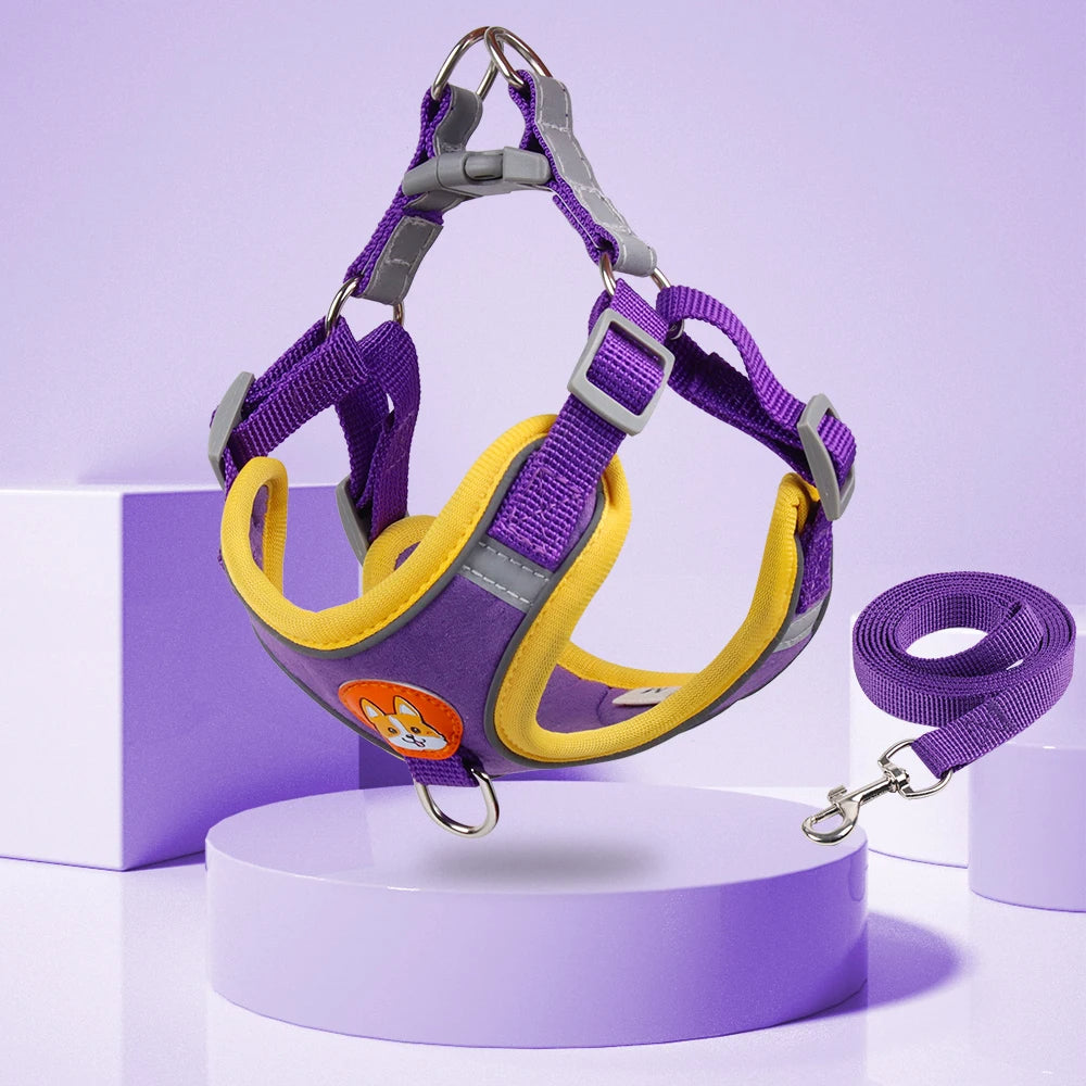 No-Pull Reflective Dog Harness Set
