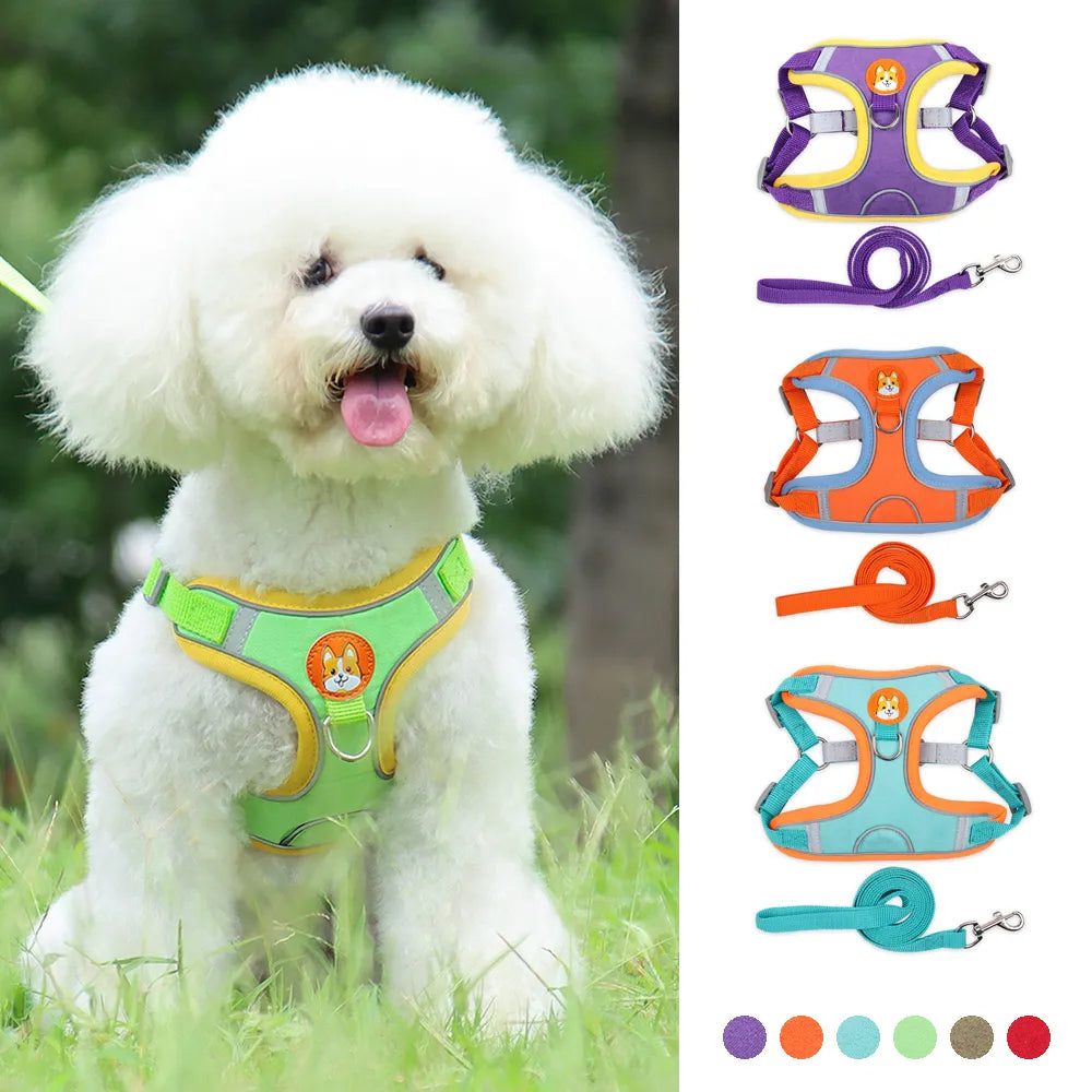 No-Pull Reflective Dog Harness Set